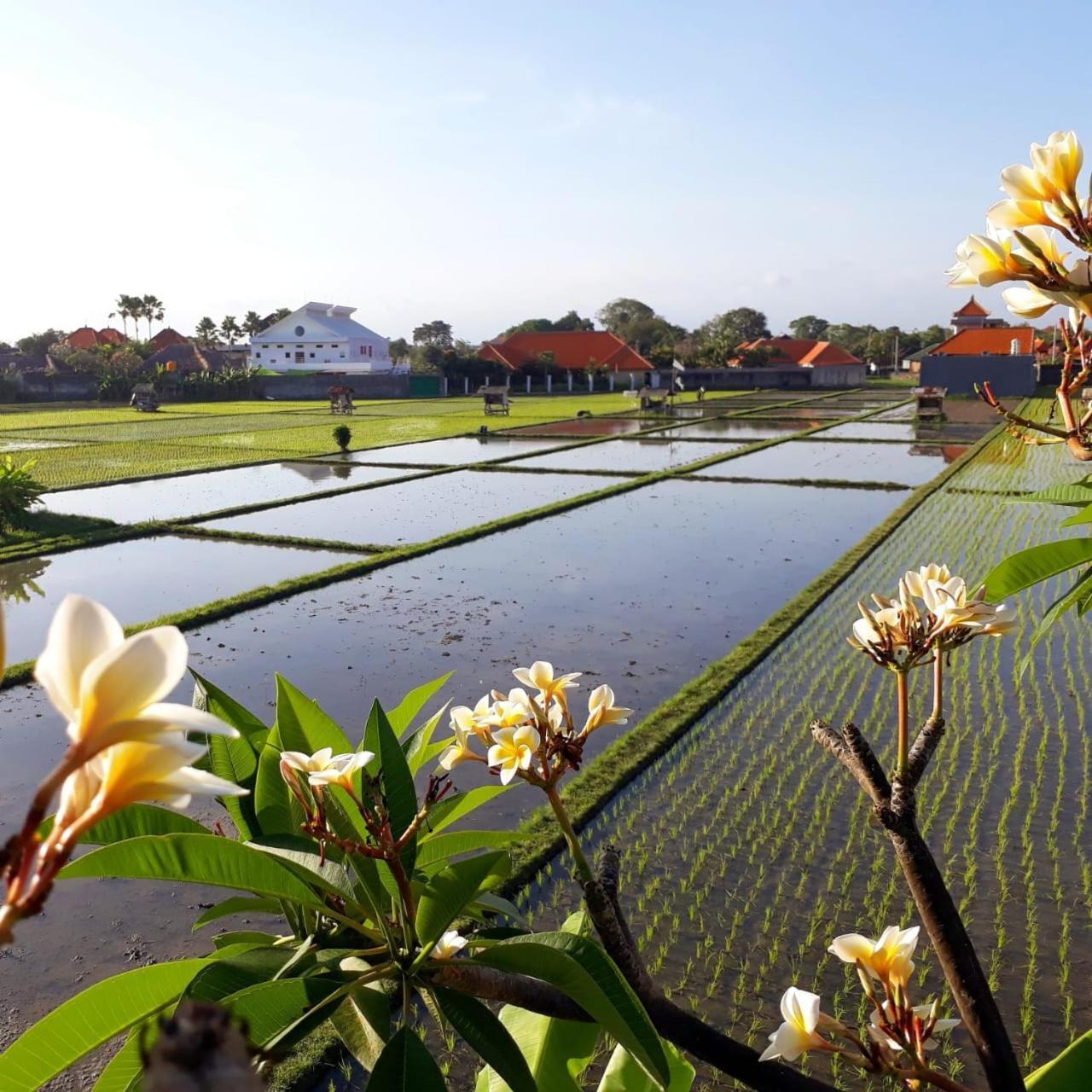 The Avani Villas Kuta  Exterior photo